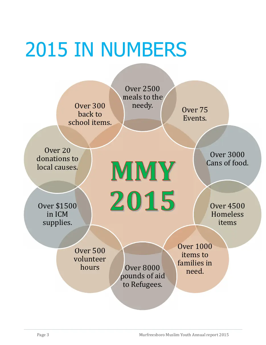 Page 4 of the 2015 annual report